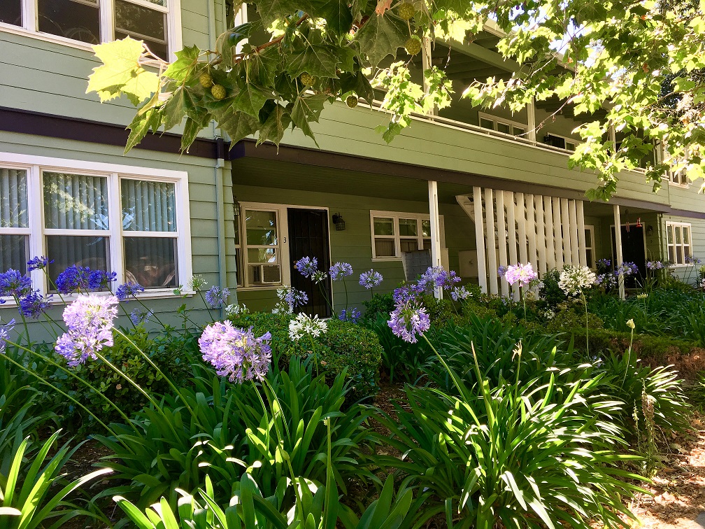 First Street Manor Apartments photo 2